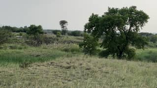 106 Kanal Agricultural Land Chakwal Near Balkasar