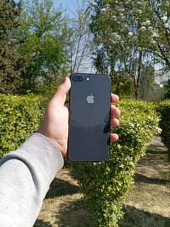 iphone 8plus 256gb non pta