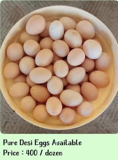 Desi Eggs