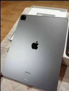 iPad M2 256 GB/0313 4935 014