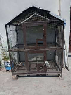 Hen, Peogon, parrot iron Cage