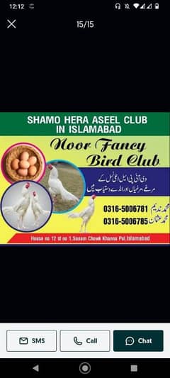 Aseel Heera | aseel Mianwali | aseel eggs | aseel chicks