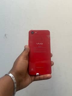 Vivo