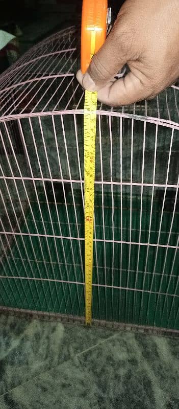 طوطوں کا پنجرہ cage hen parrot pigeon 1