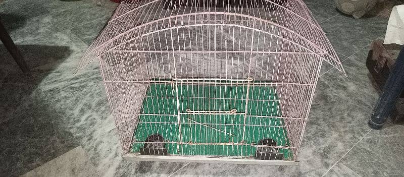 طوطوں کا پنجرہ cage hen parrot pigeon 3