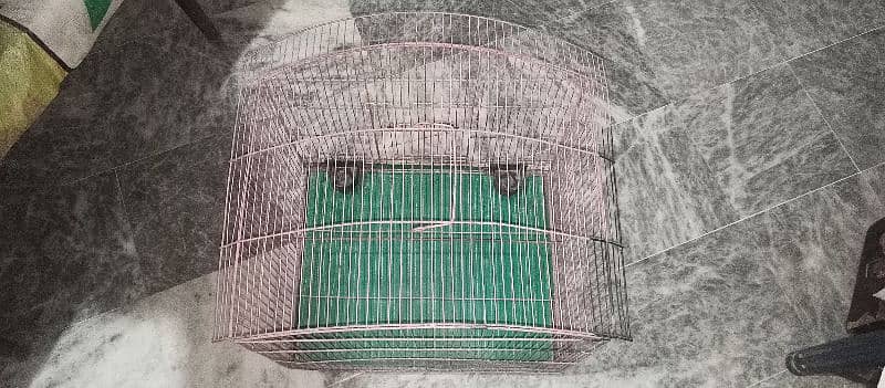 طوطوں کا پنجرہ cage hen parrot pigeon 4