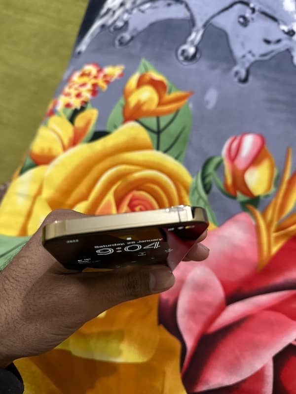 iphone 12 pro max 256 pta approved 5