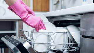 Dishwashir and cleaning