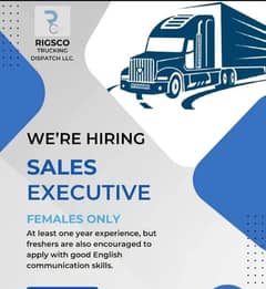 Sales Executive job Truck dispatch company