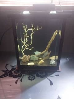 Small table aquarium for sale