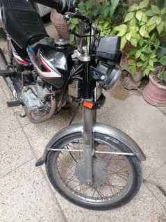 Honda 125 2014