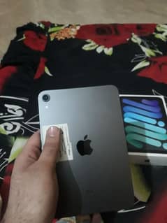 ipad mini 6