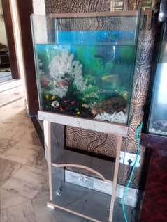 Fish Aquarium 1.5Ft(Brand New)