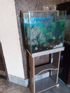 Fish Aquarium with Oxygen pump+Decoration