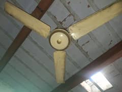 3 Ceiling Fan