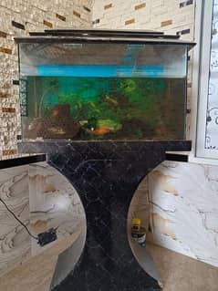 aquarium