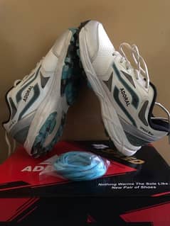 Adoral Jeet Aqua Blue Cricket Shoes