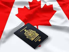 Immigration VISA Services (Canada & Ausralia)