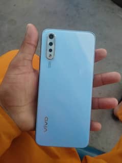 vivo