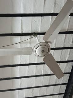 ceiling fan full saize