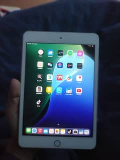 Ipad mini 5