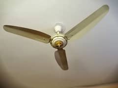 GFC Celing Fan