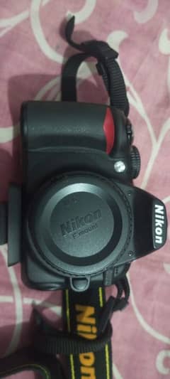 Nikon D3100