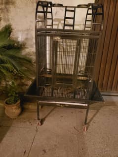 Fancy Raw & Grey Parrot Cage