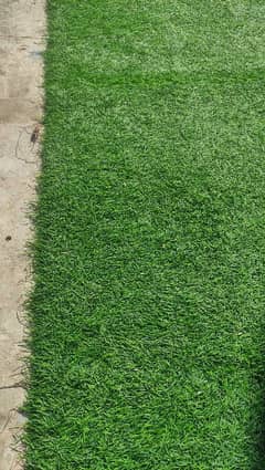 green grass carpet almost new , artificial grass