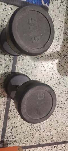 5kg Dumbells Pair