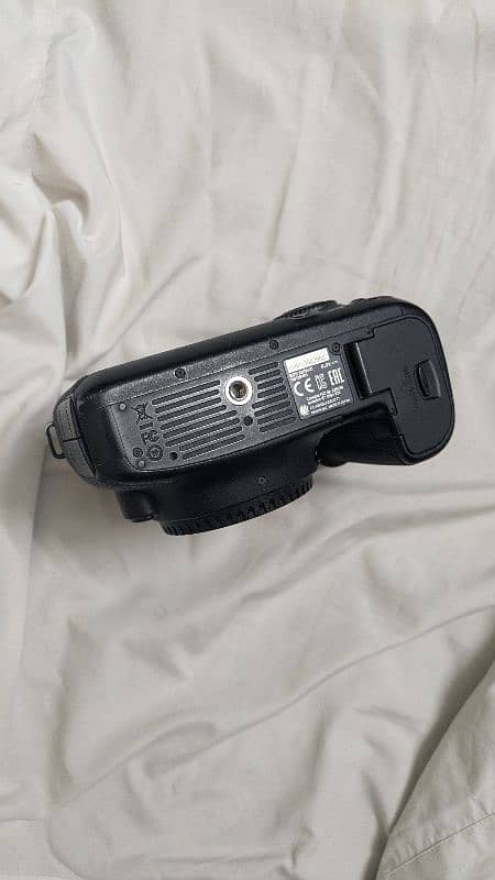 canon 6d 4