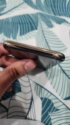 iphone xs dual pta