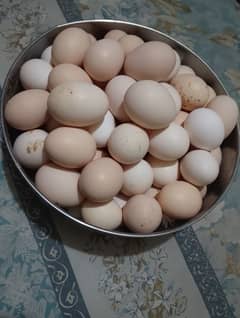 desi eggs