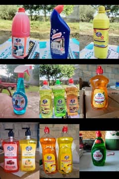 Dishwash safcon Diamond Fairy Toilet cleaner Glass cleaner Harpic etc