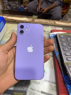 iPhone 12 in purple colour