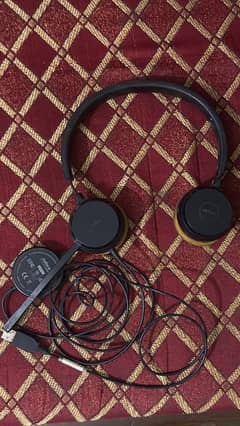 Jabra Evolve 20 Stereo Headphone