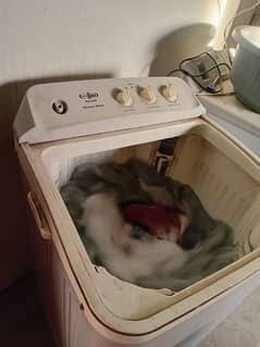 washing machine