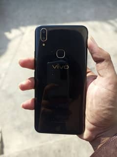 vivo