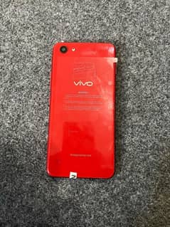 vivo