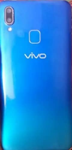 vivo