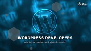 Wordpress Developer Required(Remote)