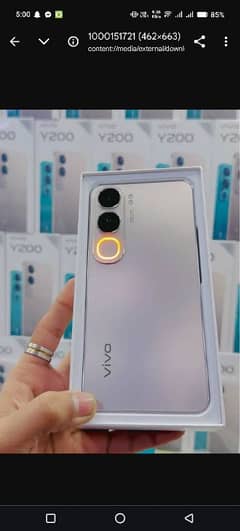 vivo