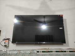 tcl led