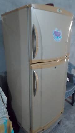 pel refrigerator for sale