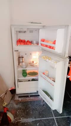 small and dual door refrigerator