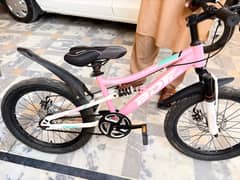 pink colour cycle for kids