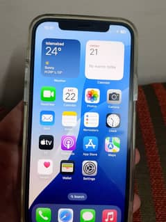 i phone 12 pro 128gb pta approved