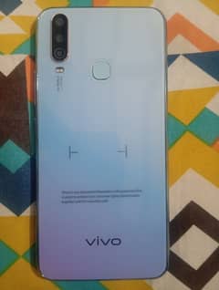 vivo