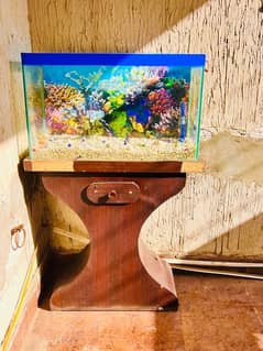 Fish Aquarium