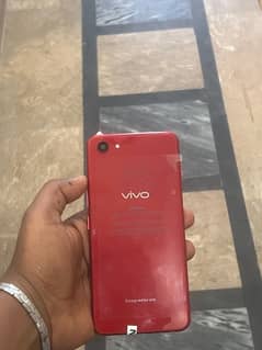 vivo